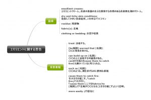 1回1文！目と耳から服用するくすりの英語#14（エモリエントに関する警告）