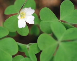 誤解があることを前提に説明する