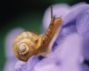 非言語のサポートツールで誤解を減らす