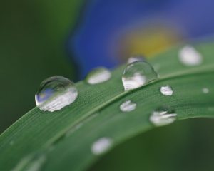 最終的には上から目線が問題を解決してくれる